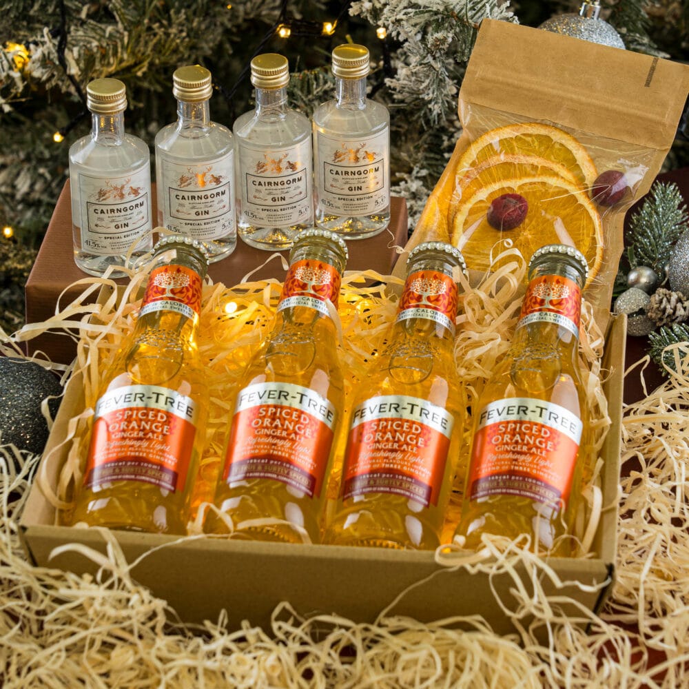 Mini Festive Spiced Gin Perfect Serve Kit