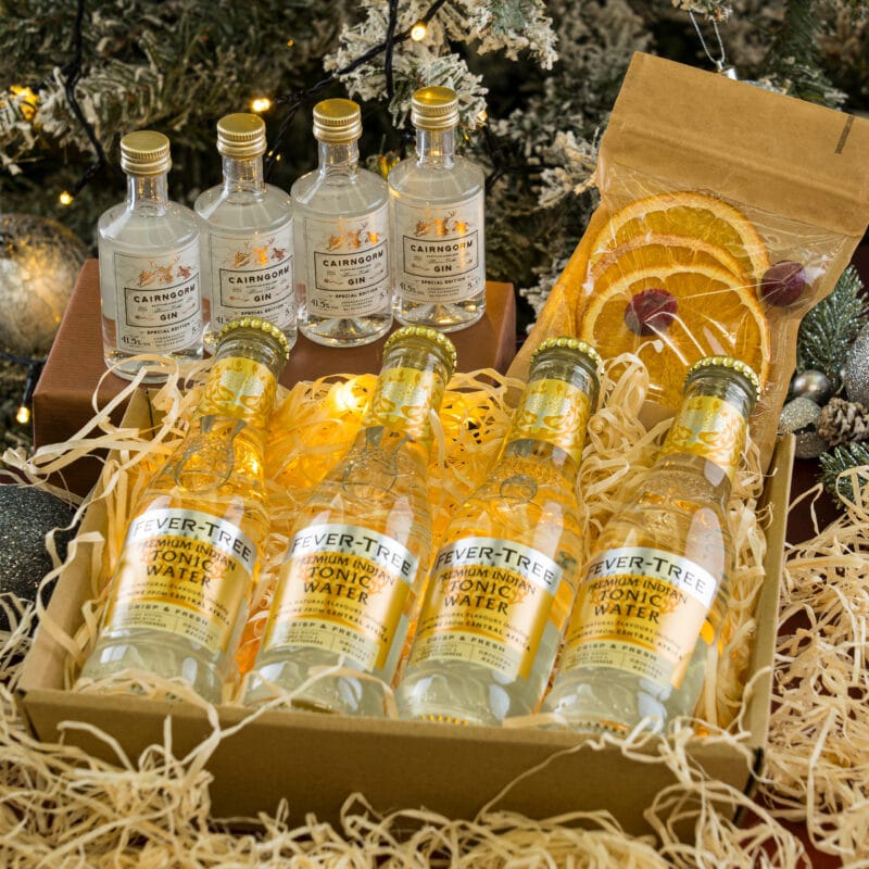 Mini Festive Spiced Gin Perfect Serve Kit tonic